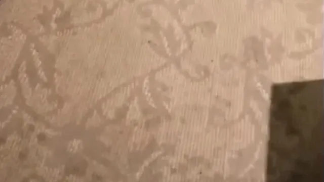 Le puissant présentateur masculin, Fourth Brother, prend un selfie avec une prostituée dans un hôtel. La femme sexy en bas noirs et talons hauts rouges la baise dans diverses positions jusqu'à ce que sa bite devienne molle, le suce fort et continue de la baiser.