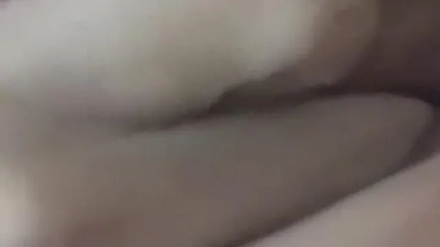 又正又骚
